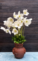 Bouquet of white anemone in a vase on the table