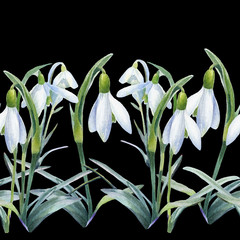 Spring background, watercolor seamless pattern of snowdrops.