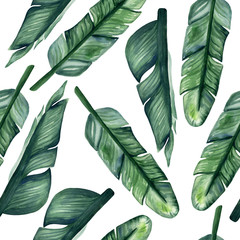 Watercolor hand painted seamless pattern with leaves of banana tree on white background. Bright tropical pattern is perfect for trendy textile design.