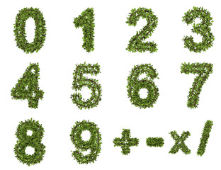 Leaf style number. 3D render of grass font isolated on white background