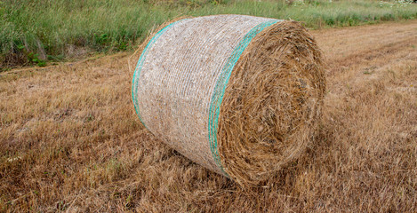 Round bales harvesting in golden field landscape, south Sardinia