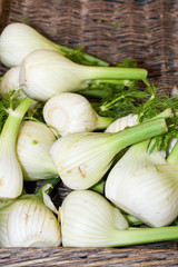 Fresh endives farmers market produce for sale in Nice, France