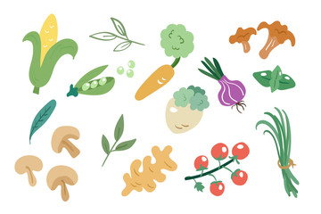 Vector illustration with bright colorful vegetables in doodle style isolated on white background. Hand drawn food collection: ginger, corn, green pea, mushrooms, tomato, ginger root, basil & other.