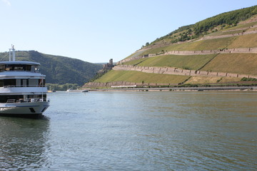 Fototapeta premium Burg Ehrenfels. Rheinblick.