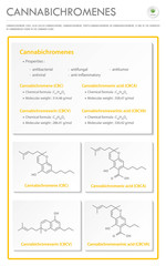 Naklejka premium Cannabichromene CBC with Structural Formulas in Cannabis vertical business infographic illustration about cannabis as herbal alternative medicine and chemical therapy, healthcare and medical vector.
