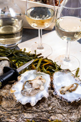 Fresh open zeeuwse creuse pacific or japanese oysters molluscs on fish market in Netherlands