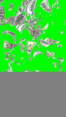 Flying dollars banknotes isolated on chromakey. Money is flying in the air. 100 US banknotes new sample. Vertical orientation. 3D illustration