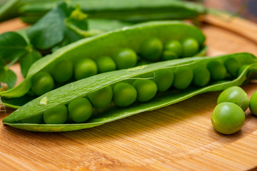 New harvest of ripe green peas legumes
