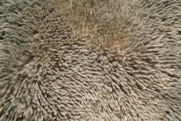 Fur texture background in brown tones