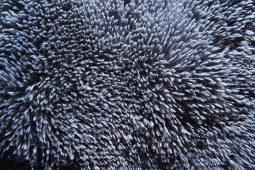Fur texture background in blue tones
