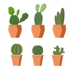 Papier Peint photo Cactus en pot Ensemble de plantes d& 39 intérieur sur fond blanc, isoler. Cactus en pots, vecteur