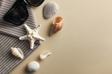  Tropical background. Flatlay with starfish, sunglasses on a colored background. The concept of travel, sea. Copy space