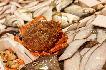Fresh fish in fish market