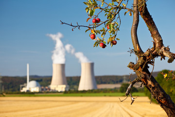 Nuclear Power Station And Apple Tree