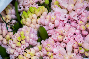 Flowers at the flower market, Bouquet ideal for Mother's Day, Woman's Day, Valentine's Day