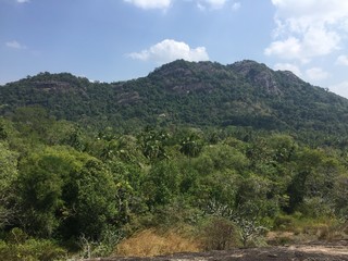 Mountain landscape with a green forest under a blue sky.