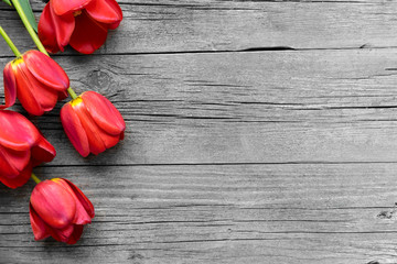 Spring bouquet of red tulips on a gray old vintage wooden table. copy space, place for inscription. Floral background for congratulations on Valentine's Day, Women's Day, Mother's Day or Birthday.