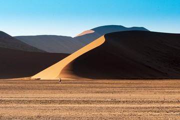 Beautiful picture of Namib National Park dunes and oryx against brown sand mountains
