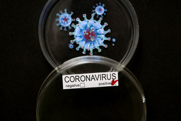 A picture of a coronavirus drawn in a Petri dish