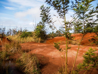 Alien Dirt on Kauai