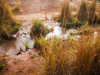 Kauai Stream in Waimea Canyon