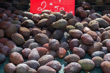 Avocado pile for sale at the market