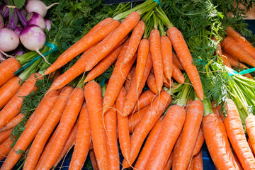 Carrots for sale at the market