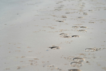 Horse footprint on beach sand.