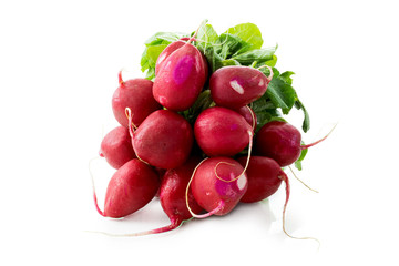 Bunch of radishes