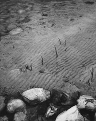 Black and white sand texture