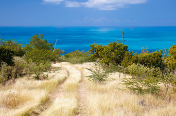 Dirt Road Overlooking Caribbean Sea, Antigua