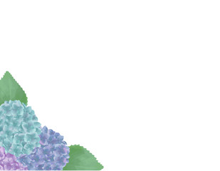 紫陽花フレーム　白バック