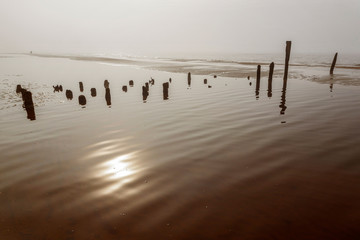 There are old poles on the coast of the Baltic Sea from the mole