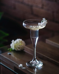 Lemonade cocktail designed by white flowers in dark mood 
