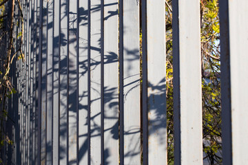 Gray iron trellised fence with a shadow from trees.