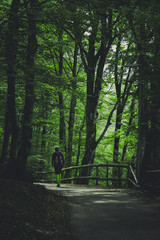 Man walking in the woods