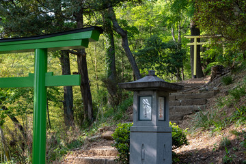 Green and yellow lacquered Torii shrine gate surrounded by green trees