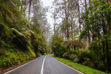 Road to Noojee in Victoria Australia