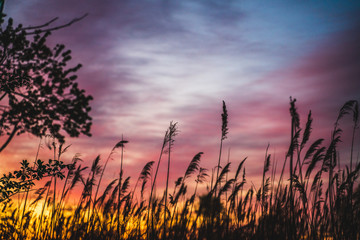 Sunrise in Plainsboro New Jersey