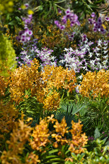 SINGAPORE/SINGAPORE - 01st July, 2019 : Cloud Forest Dome at Gardens by the Bay in Singapore, nature background.
