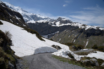 chemin de montagne au printemps - Suisse