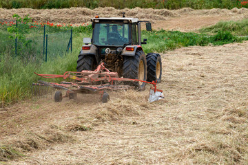 Tilled field with animal food
