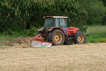 Tilled field with animal food