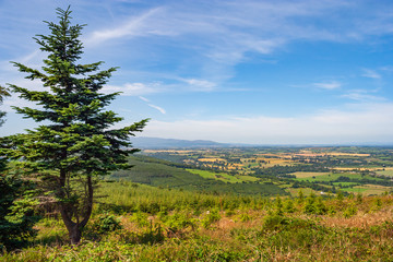 County Tipperary Landscape In Ireland