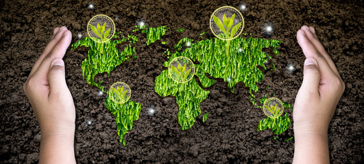 The environment in the hands of the  Green map planted seedlings is protected by the innovation,background on grassland, nature, forest conservation concept, world conservation concept.