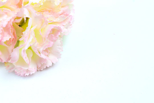 pink prop flower on a white background