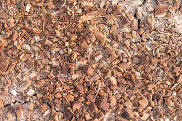 Coconut shell mixed with soil For planting trees. organic plant Concept.