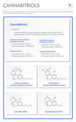 Cannabitriol CBT with Structural Formulas in Cannabis vertical business infographic illustration about cannabis as herbal alternative medicine and chemical therapy, healthcare and medical vector.