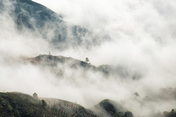 Ta Xua is a famous mountain range in northern Vietnam. All year round, the mountain rises above the clouds creating cloud inversions.