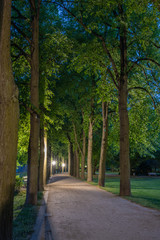 Kaiser Wilhelm Park bei Nacht, Bad Neuenahr